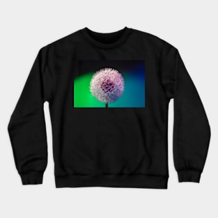 Dandelion head blue green background Crewneck Sweatshirt